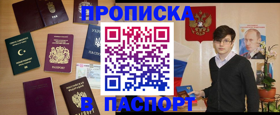 прописка 2025 в Донском